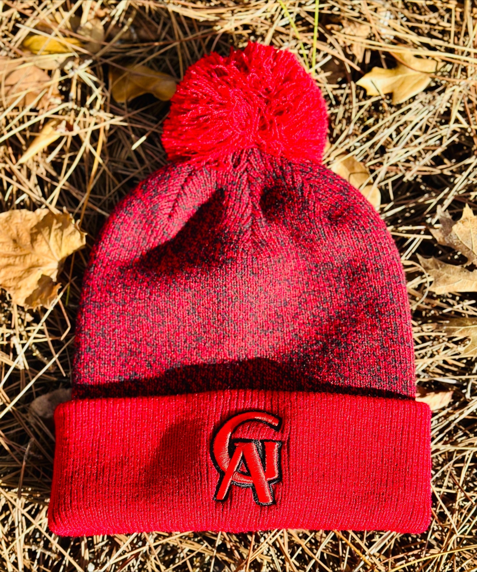 Halftime Palm Beanie- Glynn Academy- GA