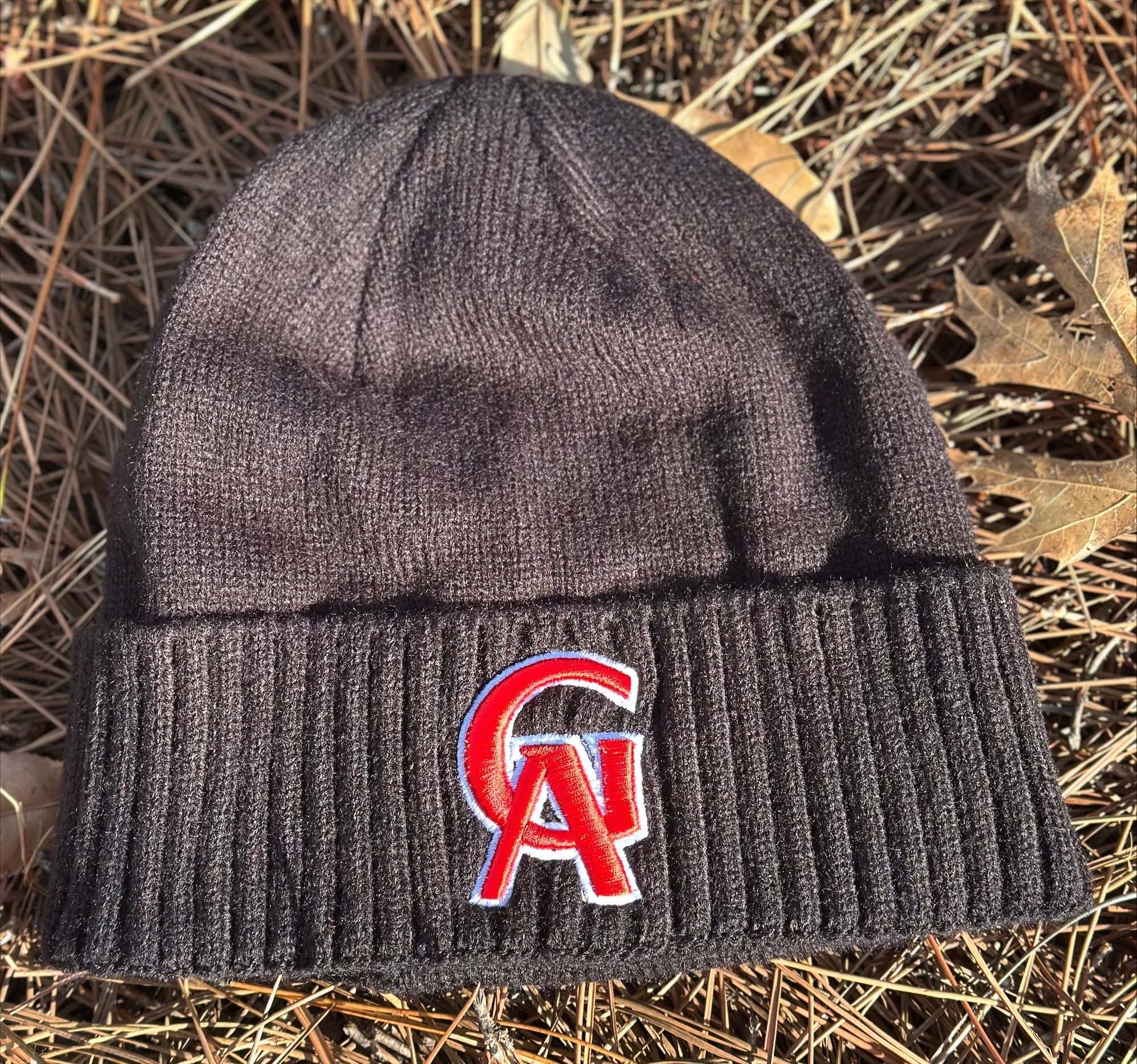 Cuff Knit Beanie- Glynn Academy-GA